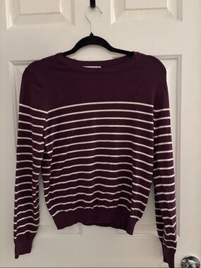 Staccato Plum and Cream Striped Crewneck Sweater
